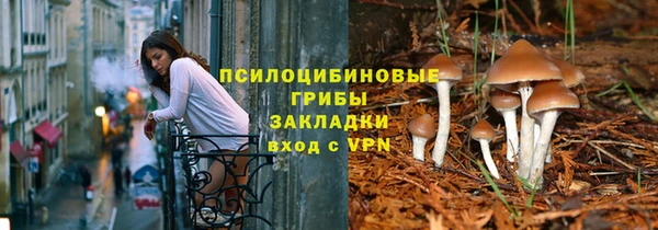прущий лед Верея