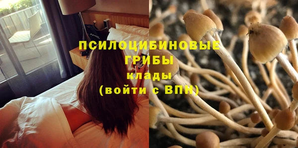прущий лед Верея