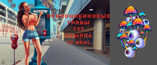 прущий лед Верея